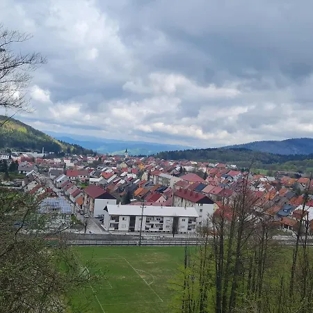 Διαμέρισμα Neli Delnice