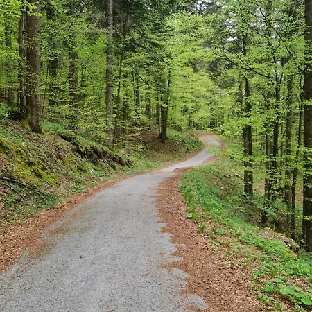 Neli Διαμέρισμα *